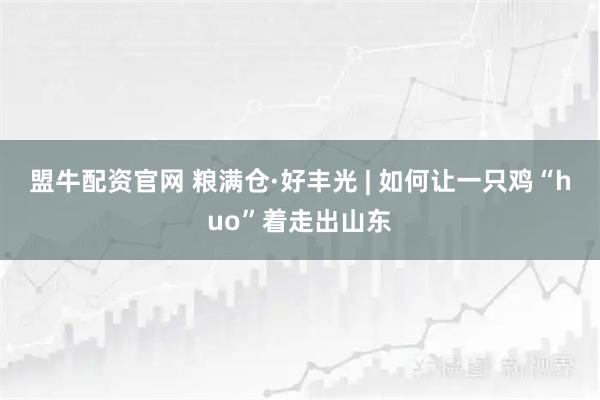 盟牛配资官网 粮满仓·好丰光 | 如何让一只鸡“huo”着走出山东