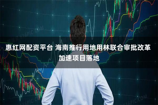 惠红网配资平台 海南推行用地用林联合审批改革 加速项目落地